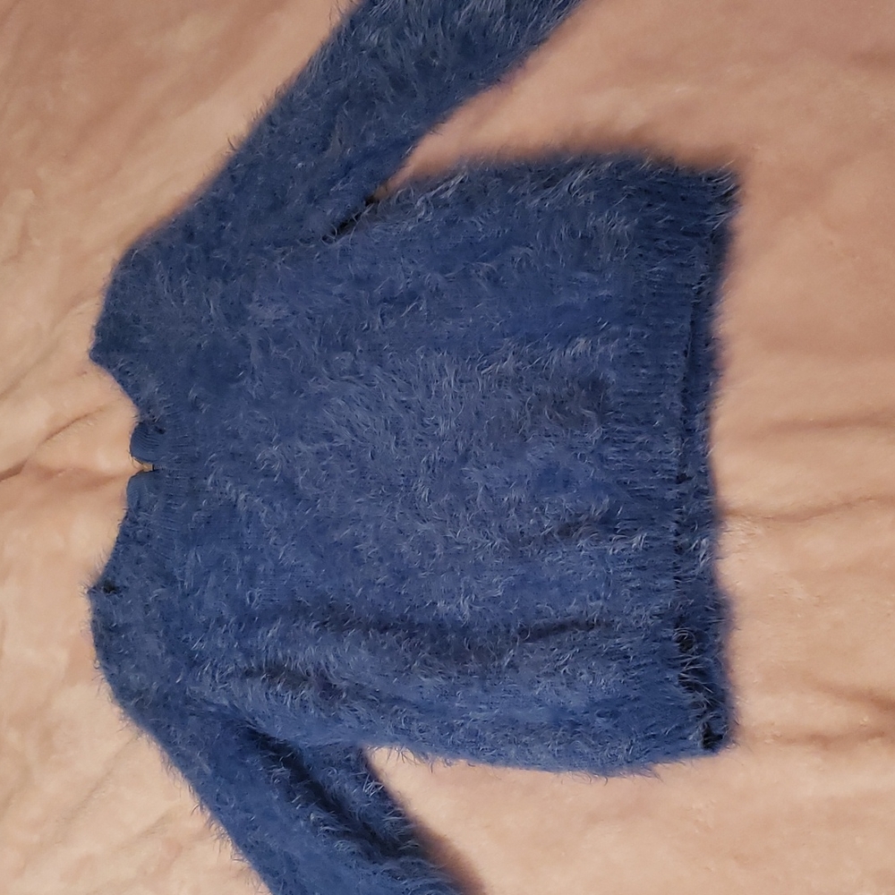 Blue Sweater